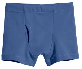 Boys Organic Cotton Boxer Brief | Smurf Blue