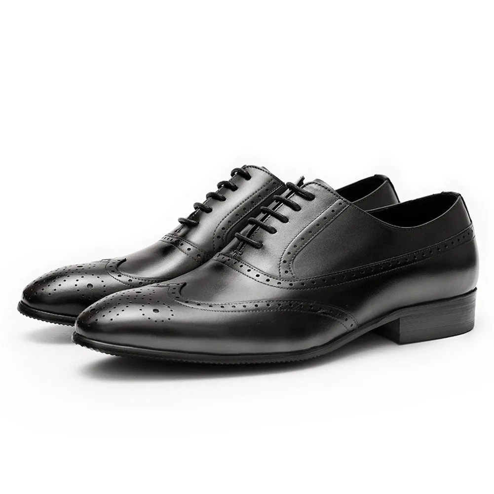 Brogue Business Derby Oxford for Men