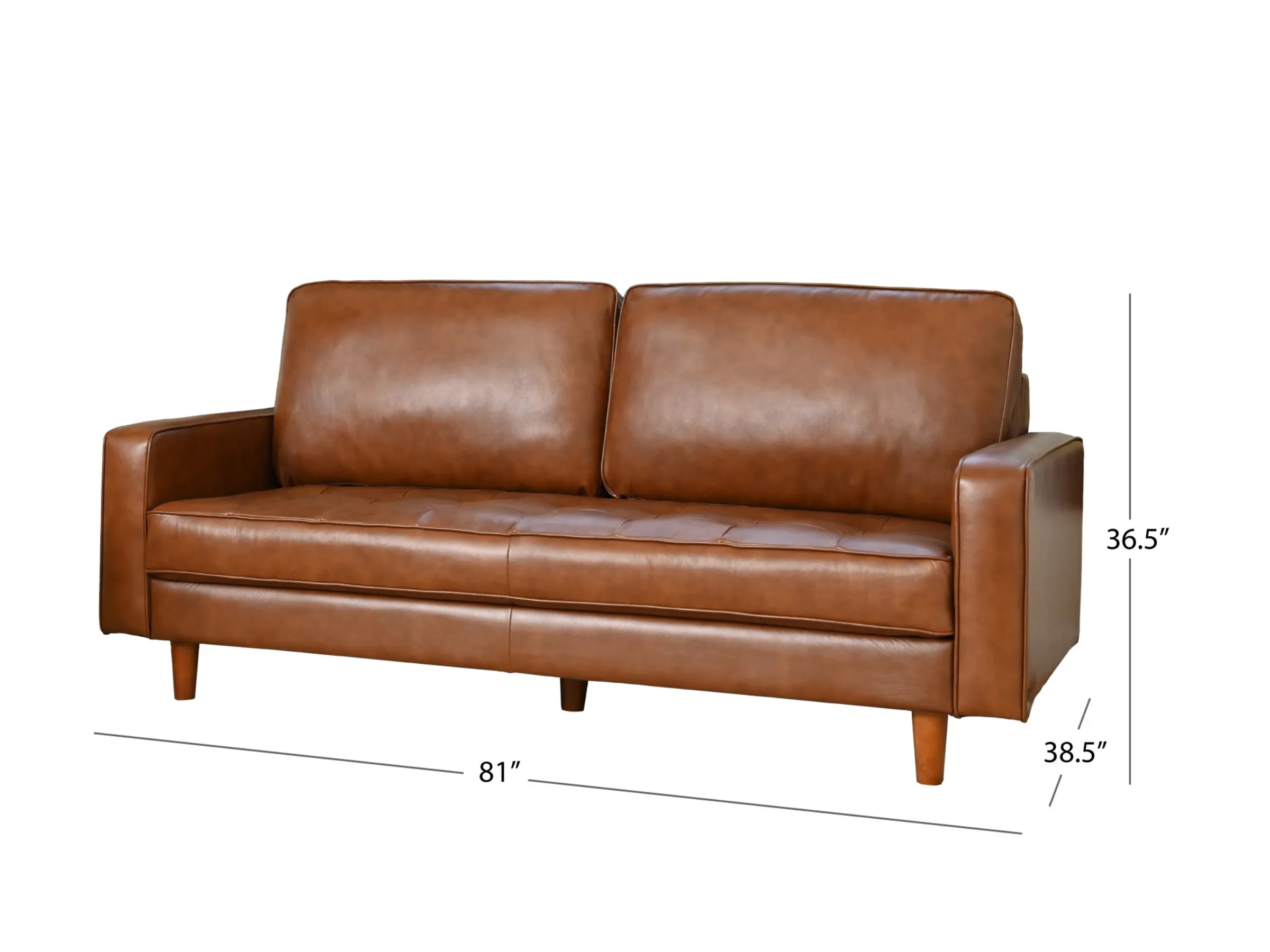 Holloway Mid-Century Leather Sofa