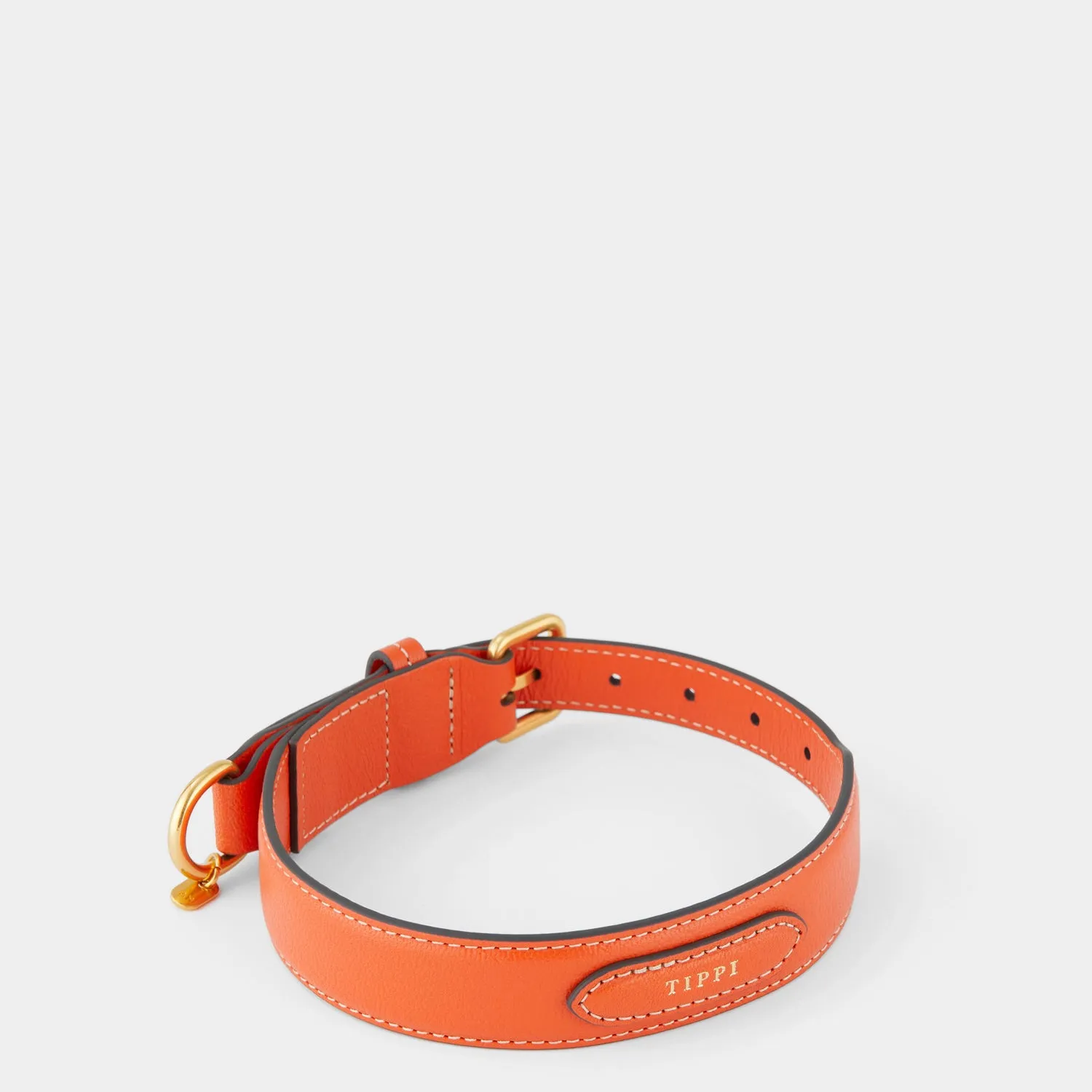 Large Dog Collar