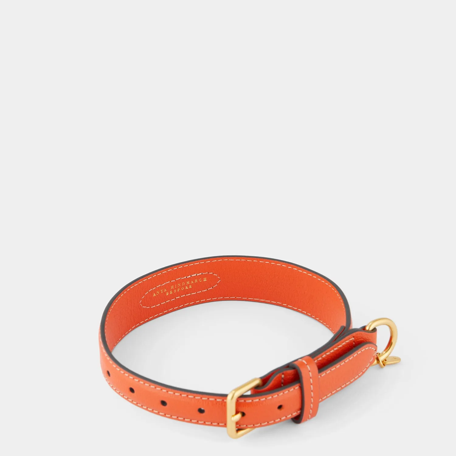 Large Dog Collar