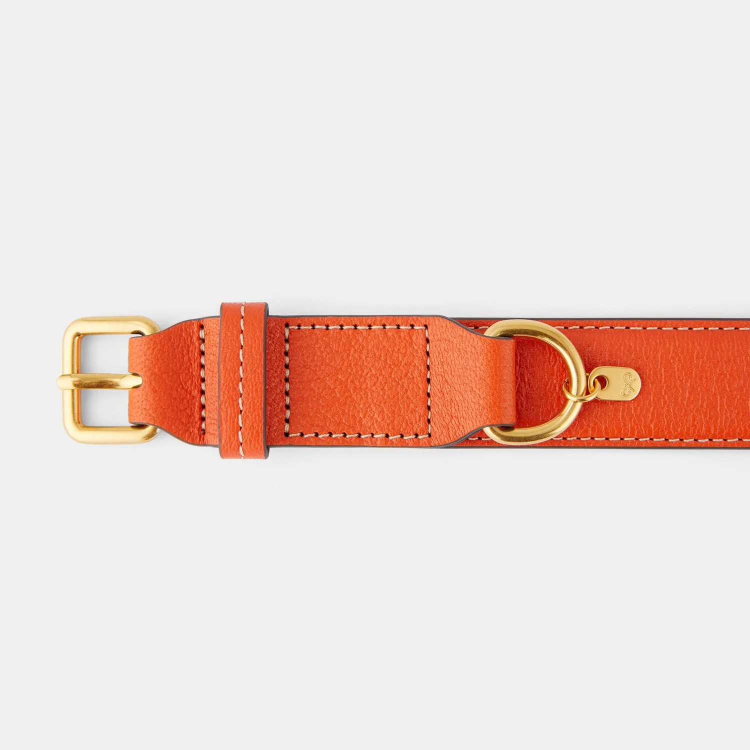 Large Dog Collar