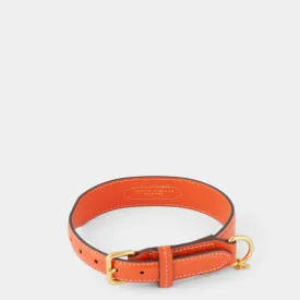 Large Dog Collar