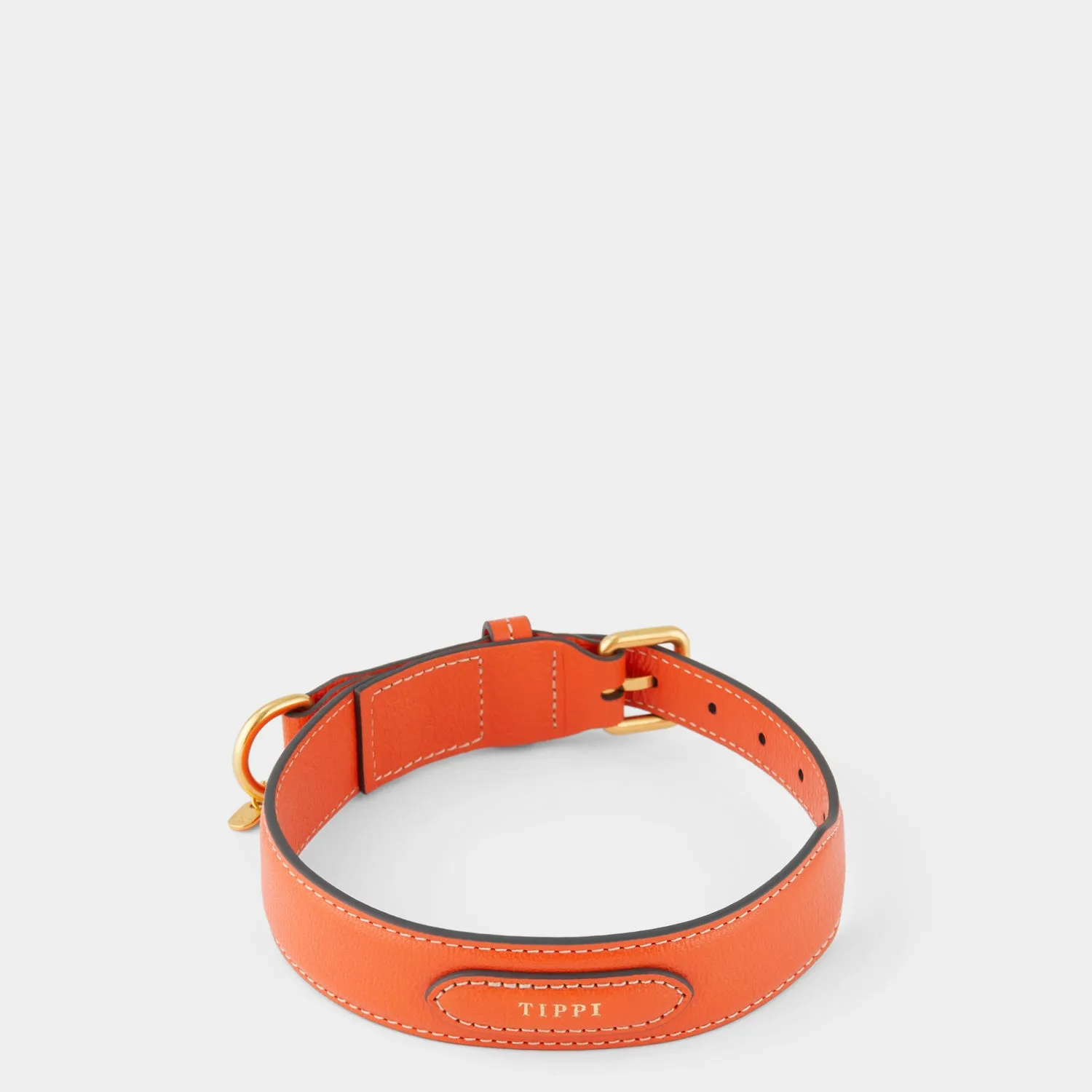 Large Dog Collar