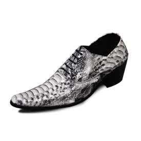 Low Top Animal Pattern Lace up Men Oxfords Pointed